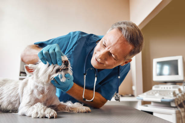 Best After-Hours Emergency Dentist in Brook Highland, AL